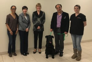 Read more about the article Georgian Researcher and CYC Students Collaborate on Research and Social Innovation Project- Georgian College News