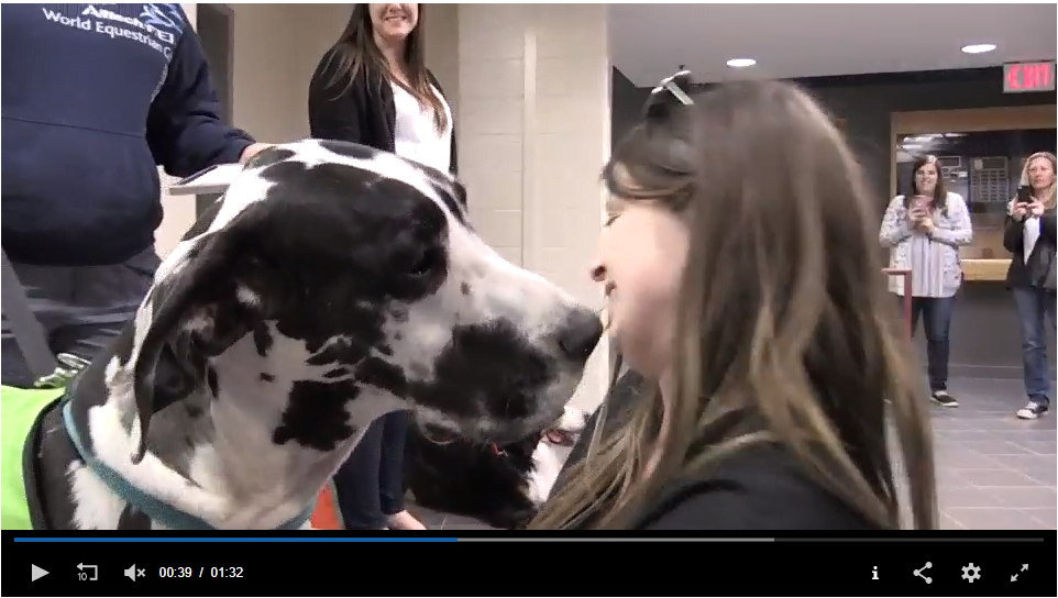 Read more about the article Therapy Dogs Graduate