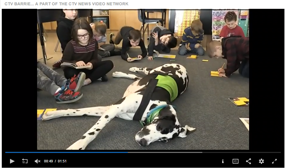 Read more about the article Canine Ambassadors In School – CTV News Midland