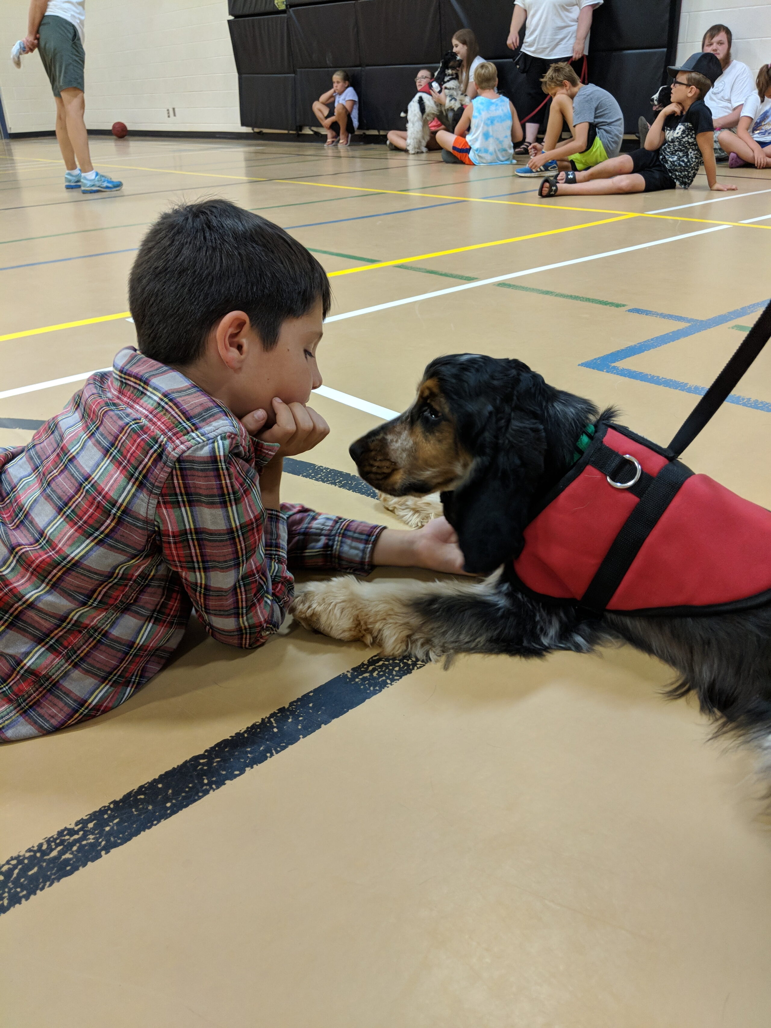 Read more about the article Sweet Charity Dogs Go To Summer Camp