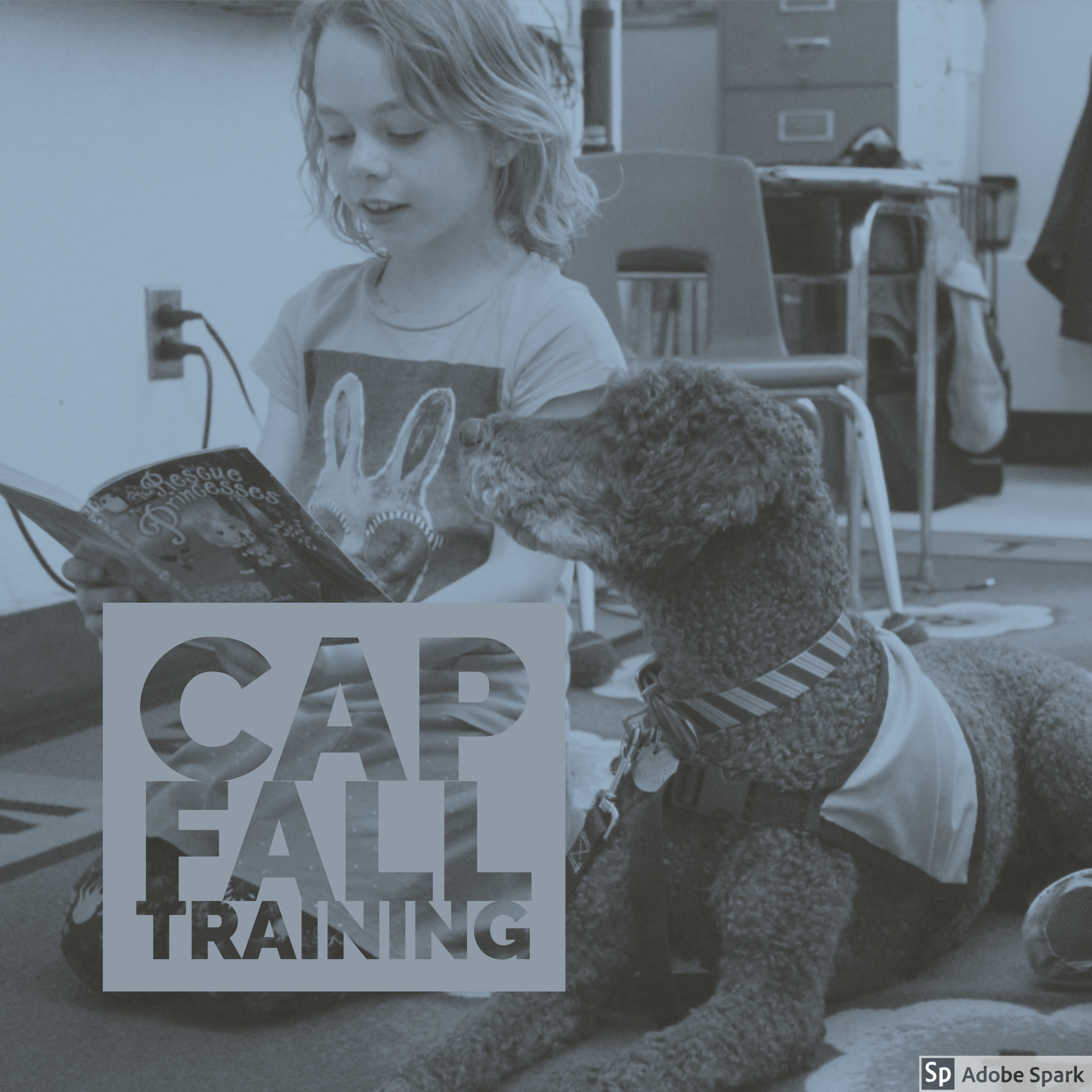 Read more about the article CAP Program Fall Training