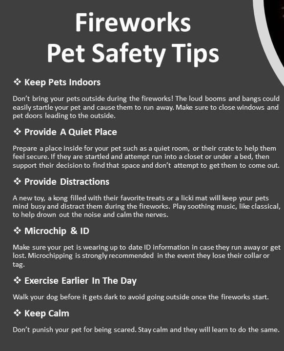 Read more about the article Fireworks Pet Safety Tips