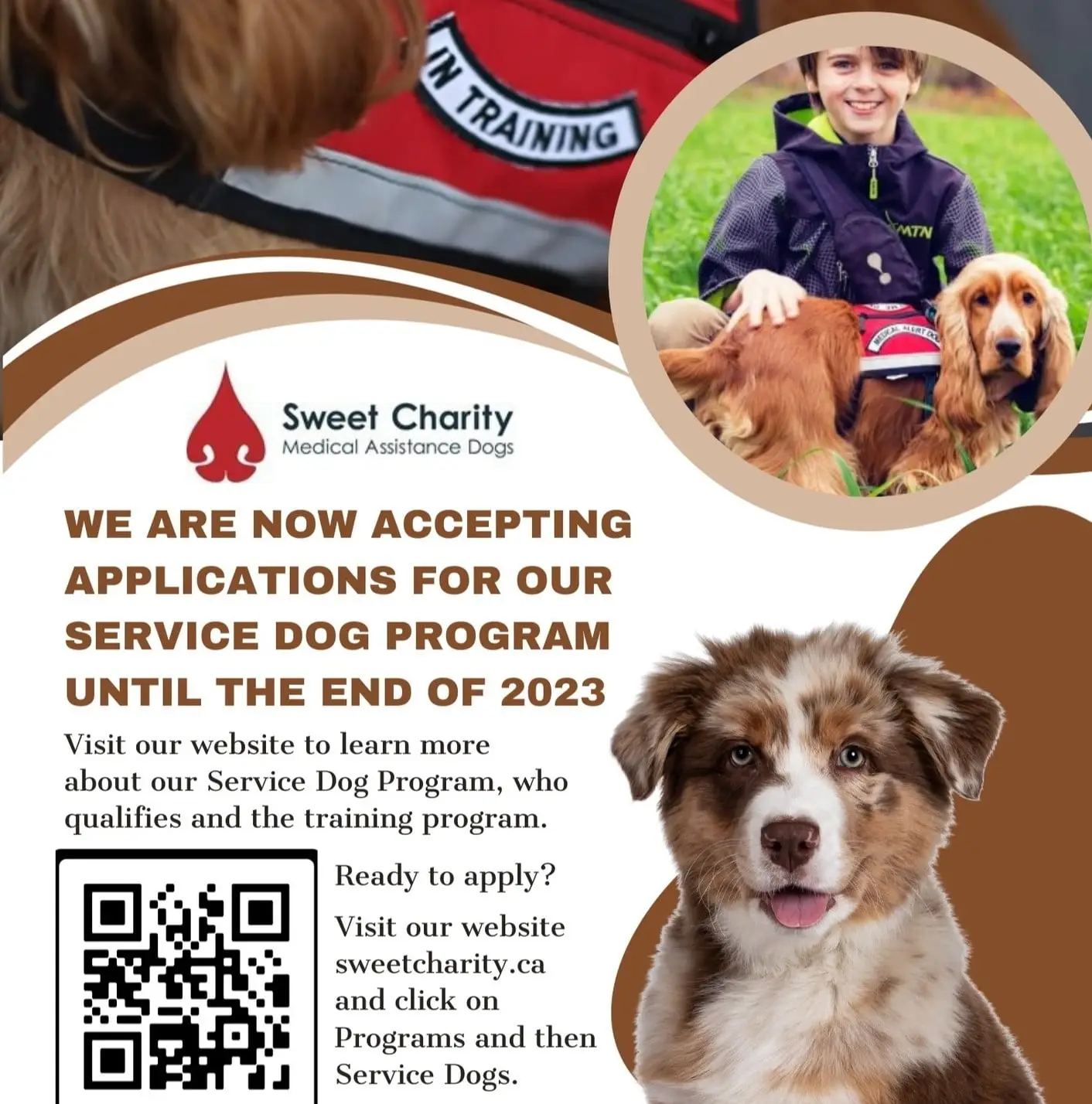 Read more about the article Service Dog Applications Are Open