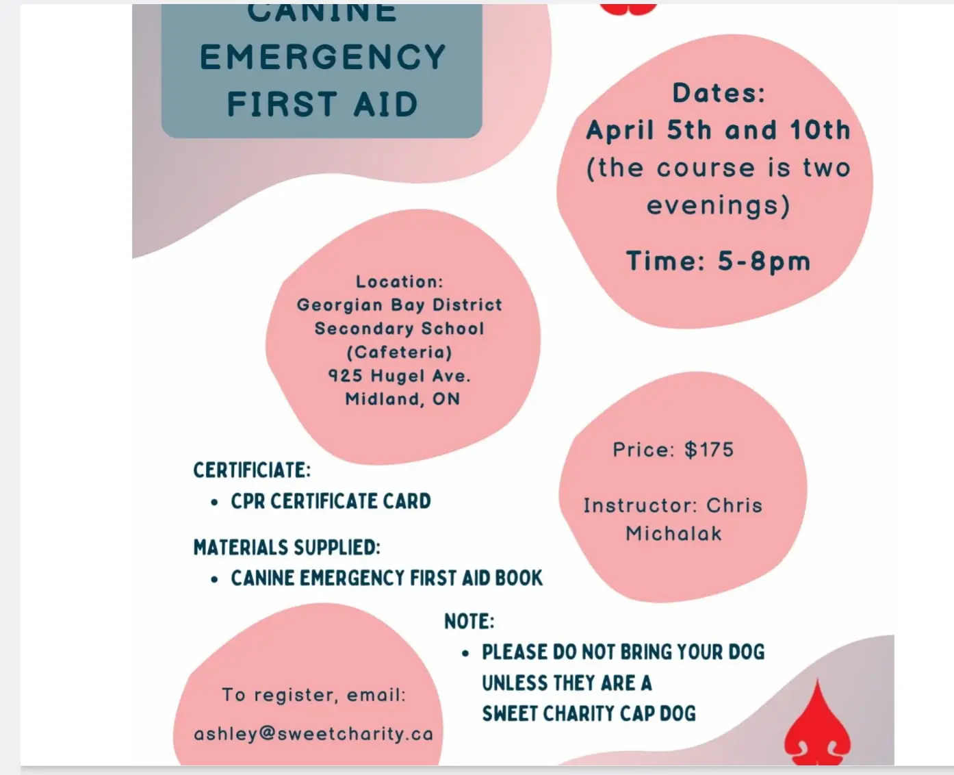 Read more about the article Canine First Aid Training